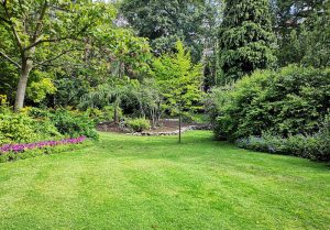 Optimiser l'expérience du jardin à Maisoncelles-sur-Ajon